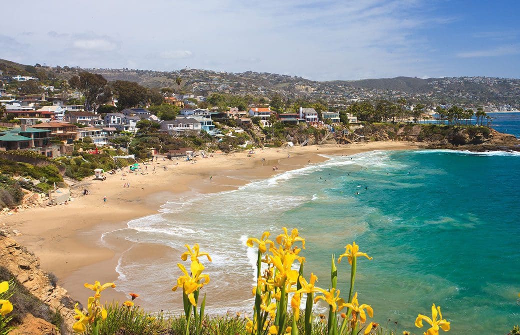 Orange County WordPress Web Design